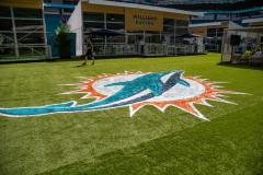 Miami Dolphins Center Field Logo