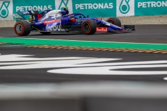 Pierre Gasly (FRA)  Scuderia Toro Rosso STR14